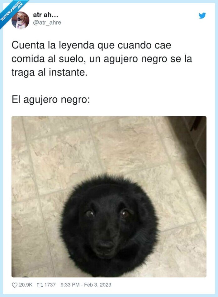 instante,leyenda,agujero negro,perro,caerse,comer,comida