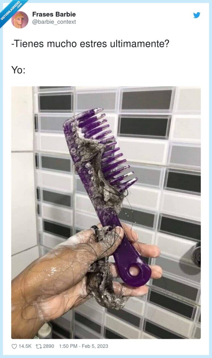 peine,pelo,caída,estres