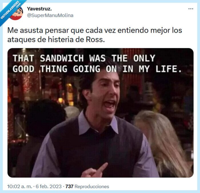 ross,friends,asustar,entender