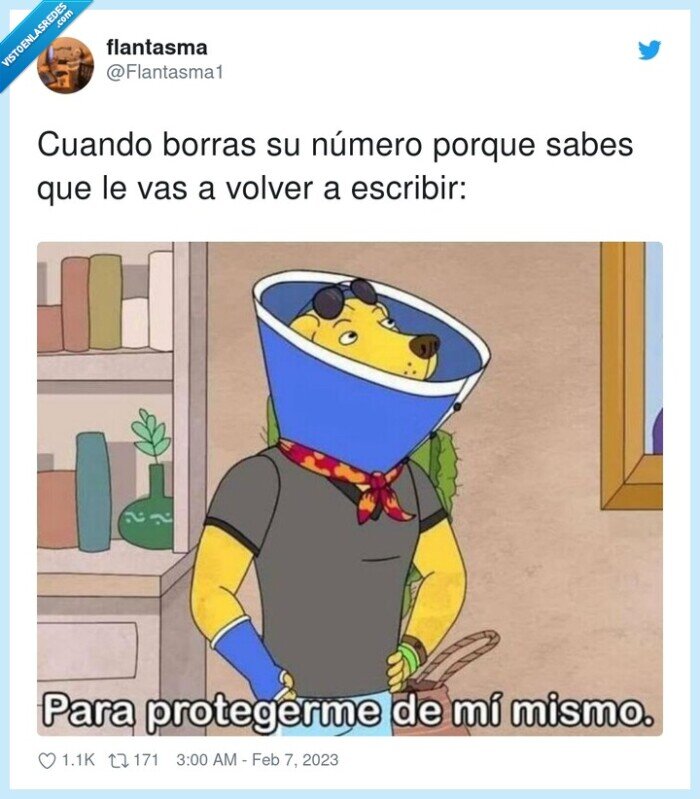 escribir,número,borrar,perro