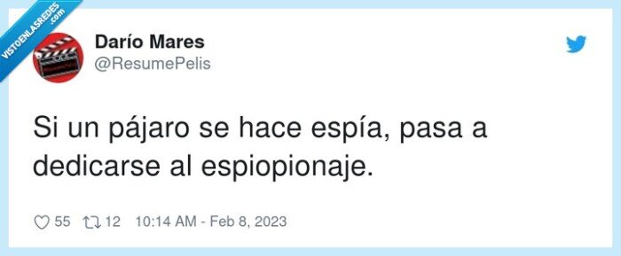 espiopionaje,dedicarse,pájaro,espía