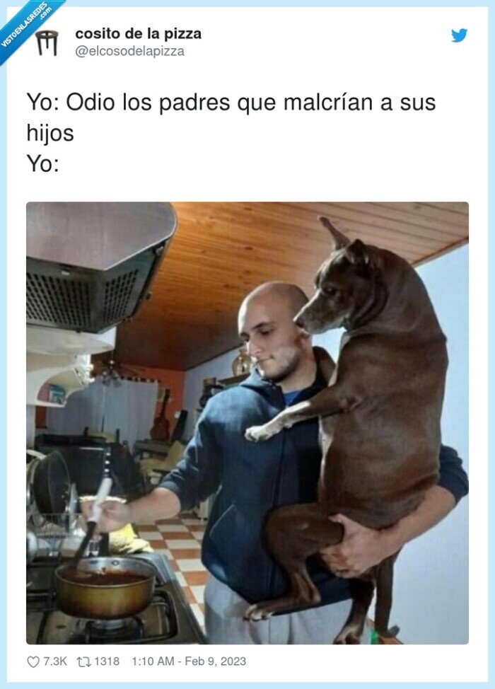 malcriar,perro,en brazos