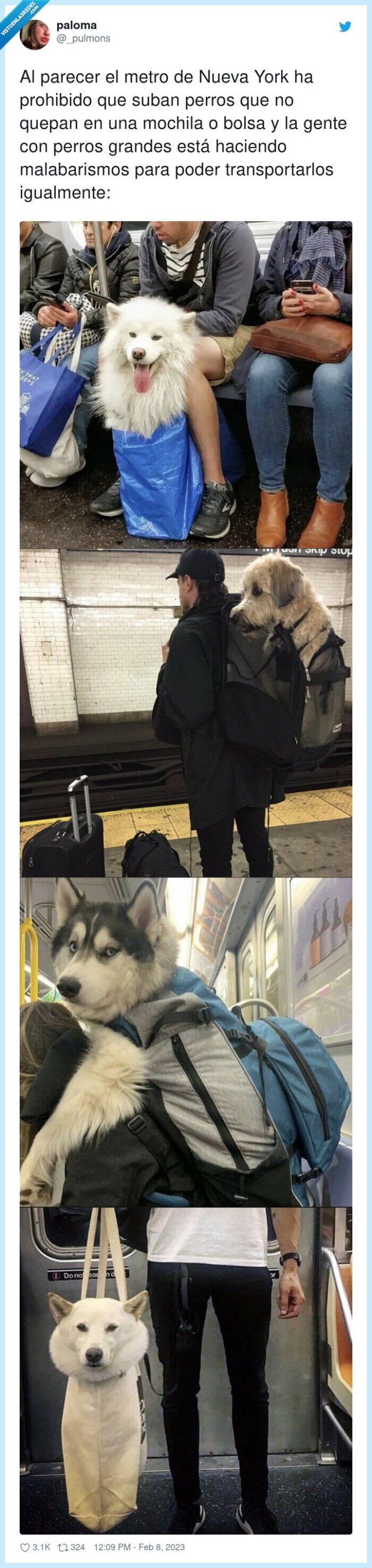 transportarlos,malabarismos,new york,metro,prohibido,mochila