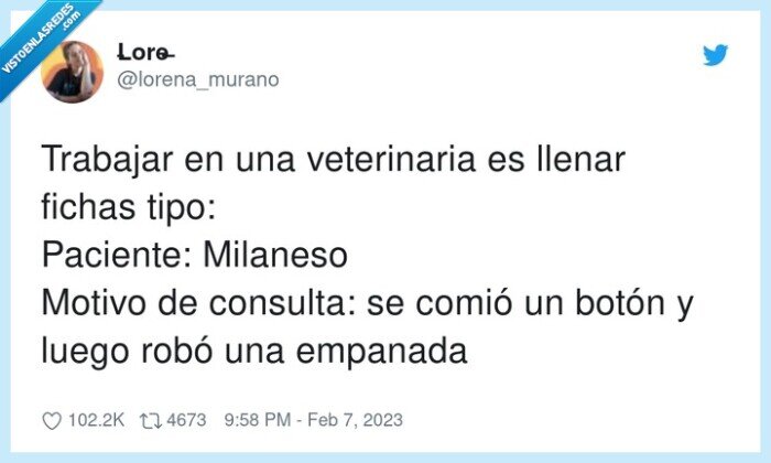 veterinaria,trabajar,paciente,milaneso,consulta,empanada