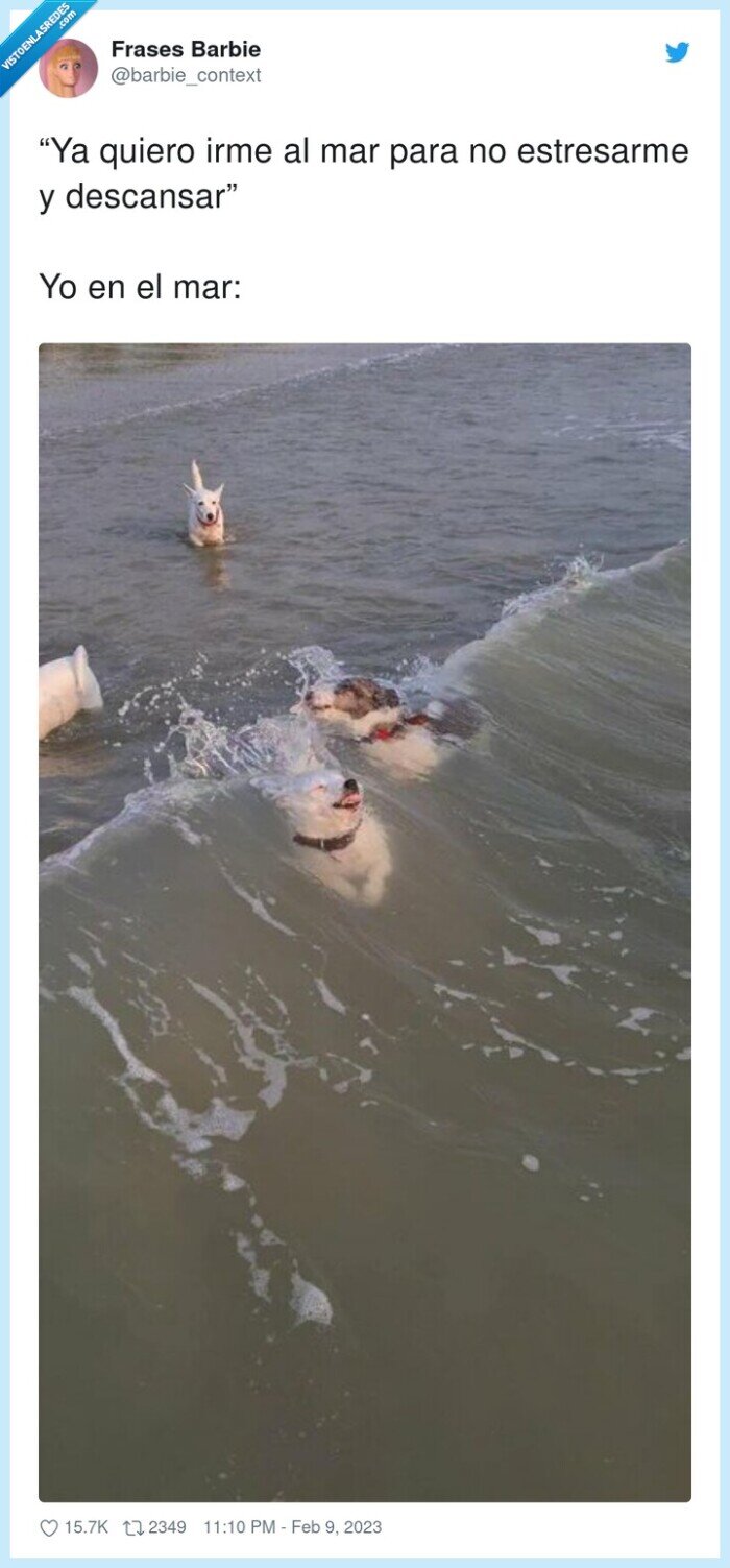 descansar,estresarme,quiero,perro,olas,ahogarse