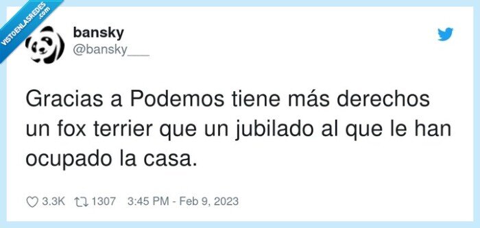 jubilado,derechos,podemos,terrier