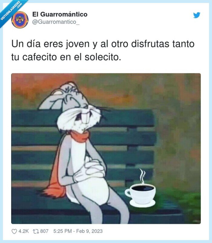 disfrutar,cafecito,solecito,joven