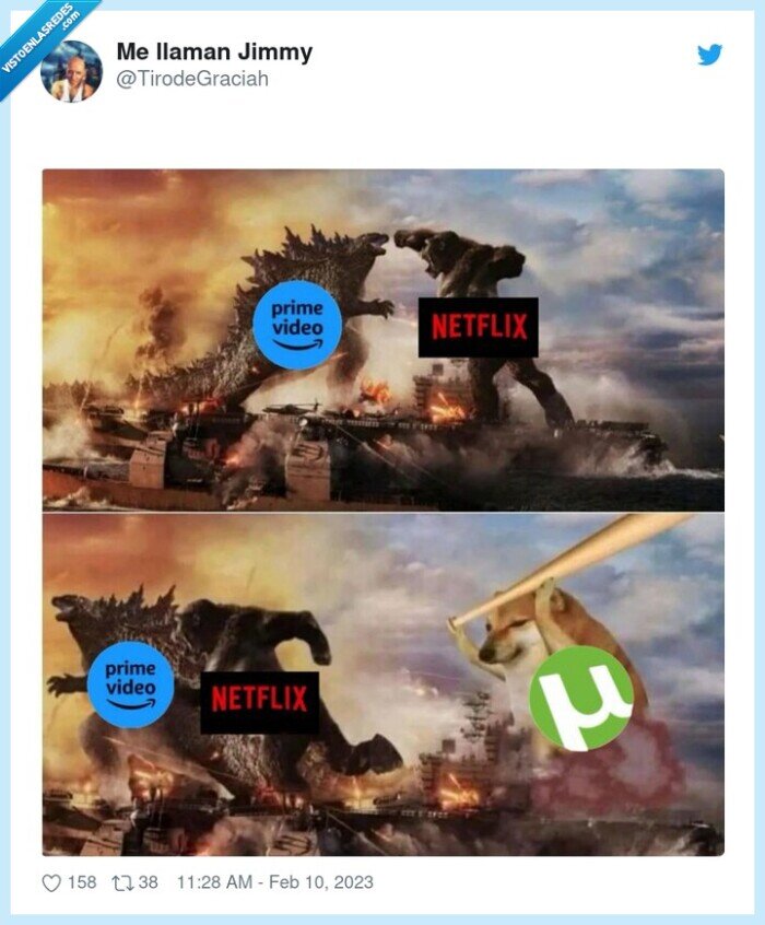 torrents,netflix,prime video