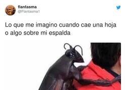 Enlace a Quítameloooooo quítameloooo, por @Flantasma1