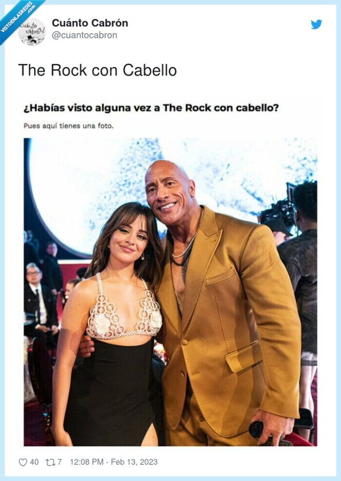 cabello,the rock,pelo,camila cabello
