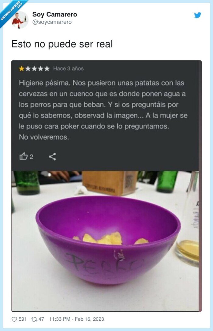 cuenco,patatas,perro