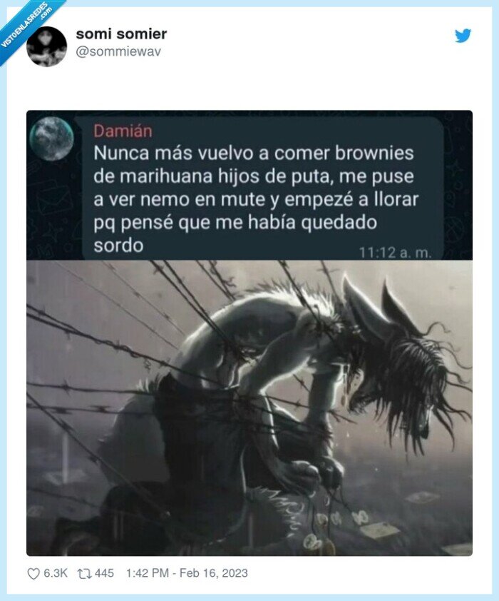 brownies,maria,nemo,mirar,sonido