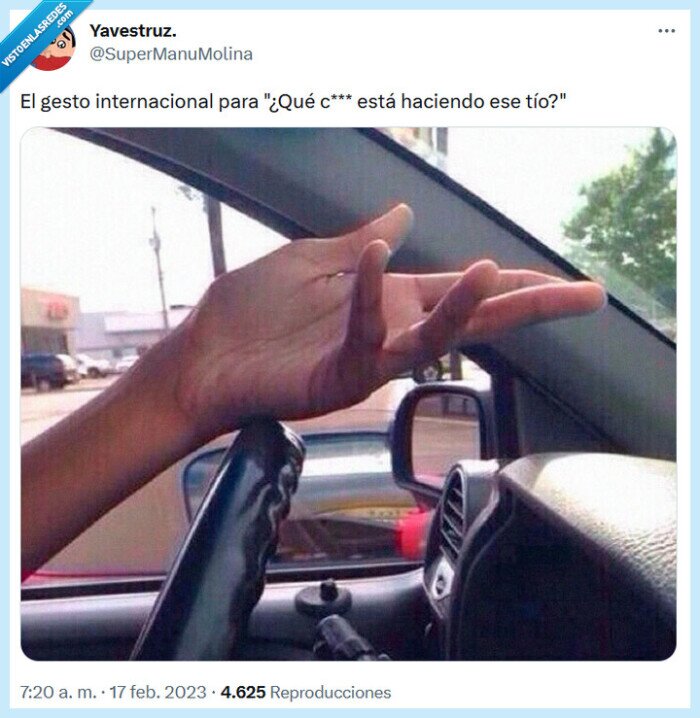 gesto,internacional,conducir