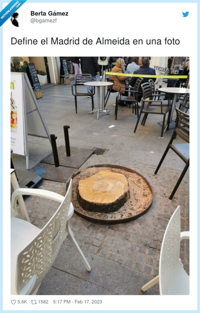 almeida,define,madrid,foto,tronco,partido,árboles