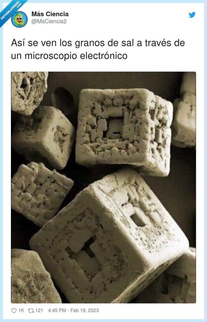 microscopio electrónico,a través,granos,sal