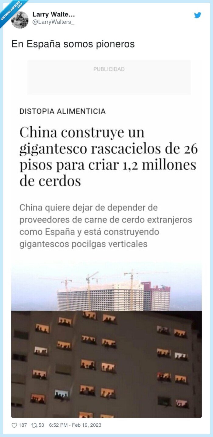 pioneros,españa,colegio mayor,cerdos