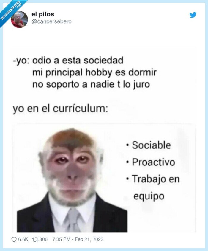 postular,trabajo,mentir,sociable