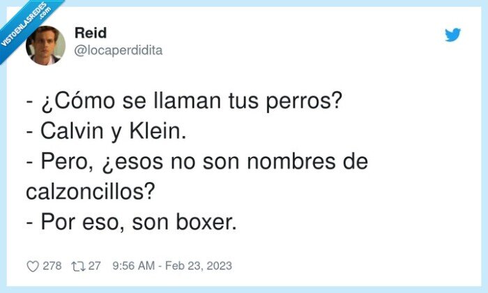 calzoncillos,nombres,llamarse,perros,calvin