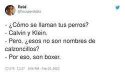 Enlace a Calvin y Klein, por @locaperdidita