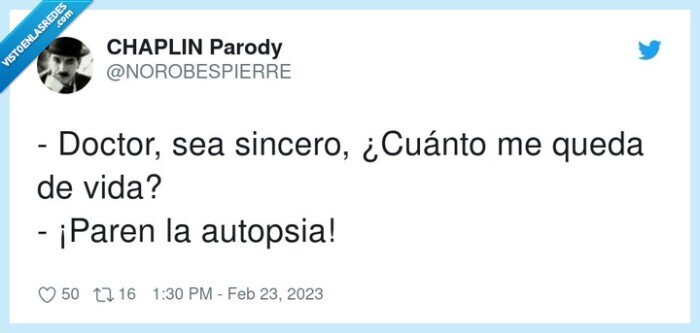 sincero,autopsia,doctor,parar