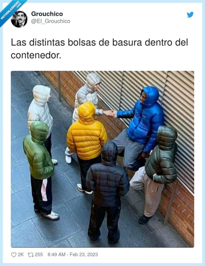 contenedor,distintas,bolsas,basura