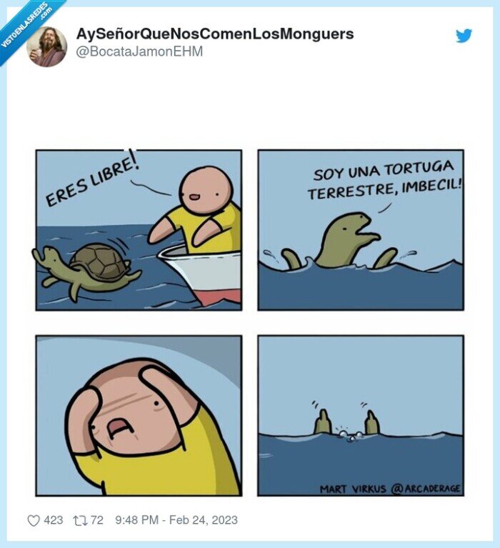 tortuga,mar,terrestre,arrojar