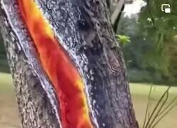 Enlace a Me hierve la sangre, por @jcamiloorozco2