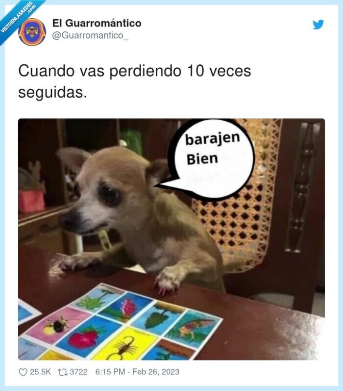 perder,juego,barajar,cartas