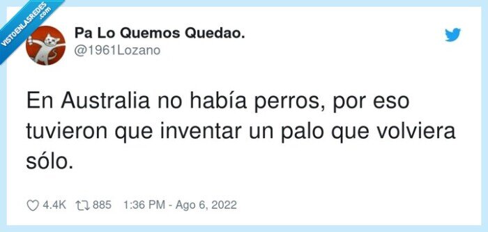 australia,tuvieron,invento,volver,perros,boomerang