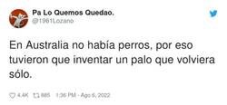 Enlace a Los canguros se ve que no devuelven el palo, por @1961Lozano