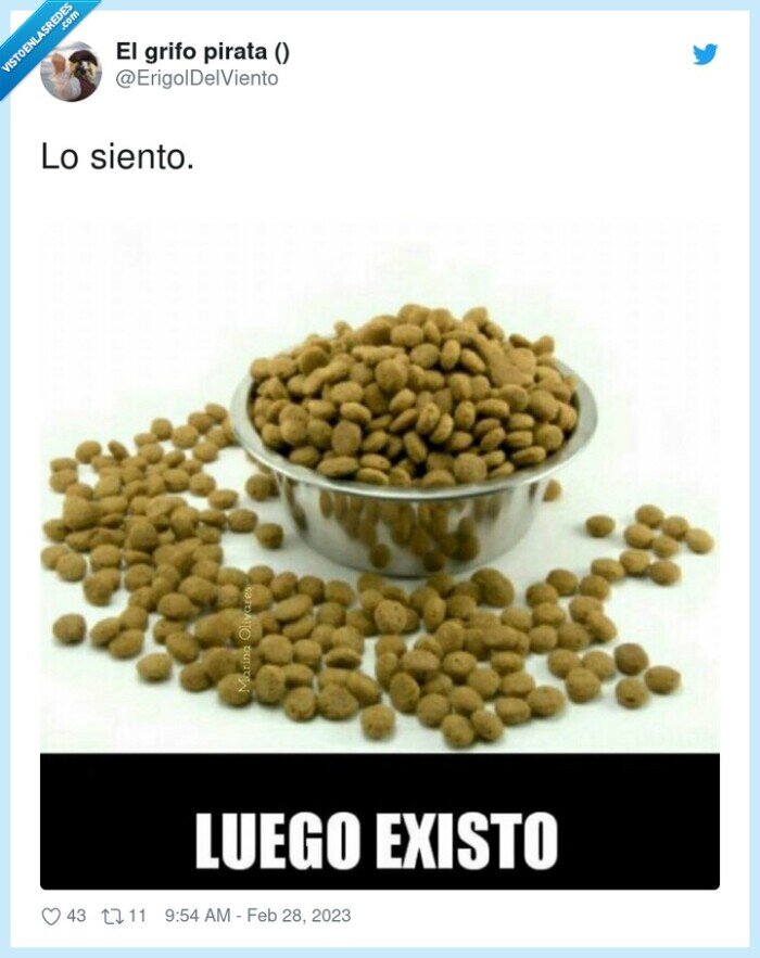 pienso luego existo,comida,pienso