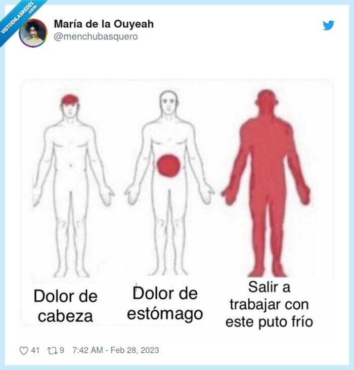 dolor de cabeza,estómago,frío,trabajar