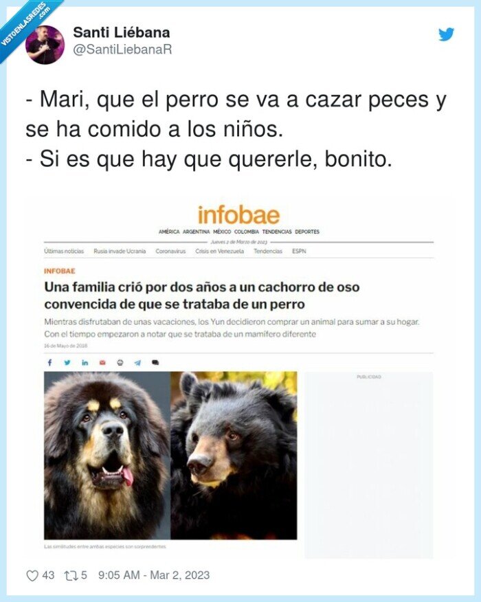 comido,niños,oso,mari,perro