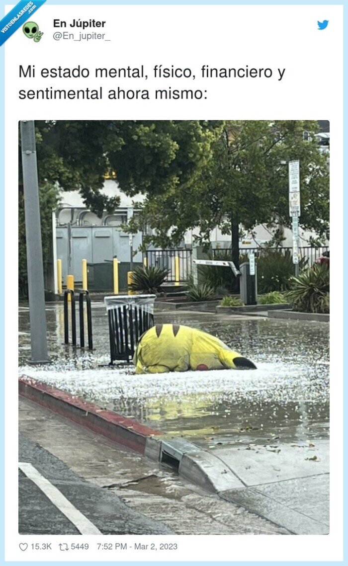 sentimental,financiero,físico,mental,estado,pikachu