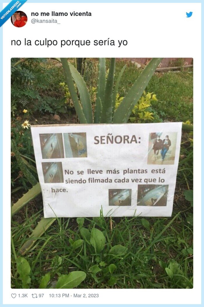 señora,cartel,robar,ladrona,plantas