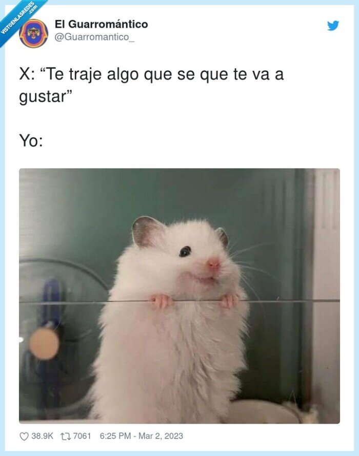 hamster,contento,alegría,sonrisa