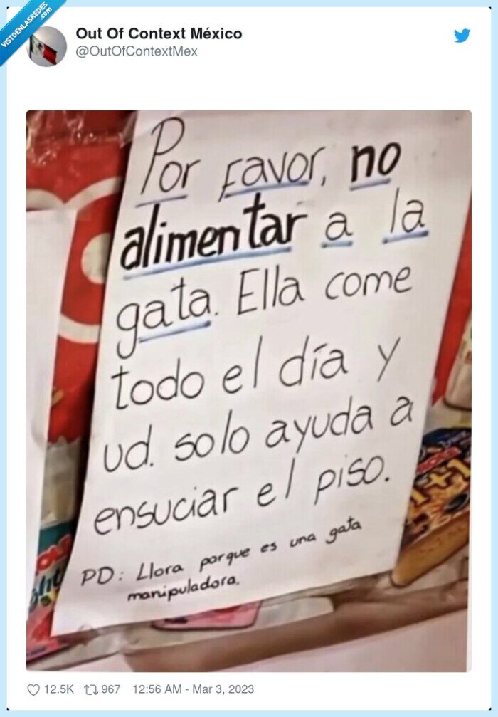 gata,alimentar,ensuciar,manipuladora