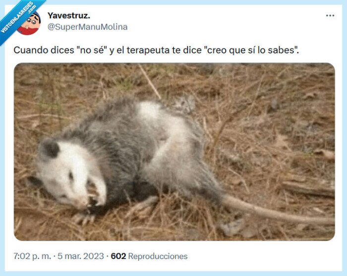 terapeuta,saber