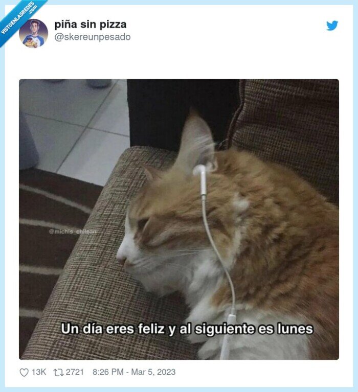 lunes,gato,felicidad,vuelta a la rutina