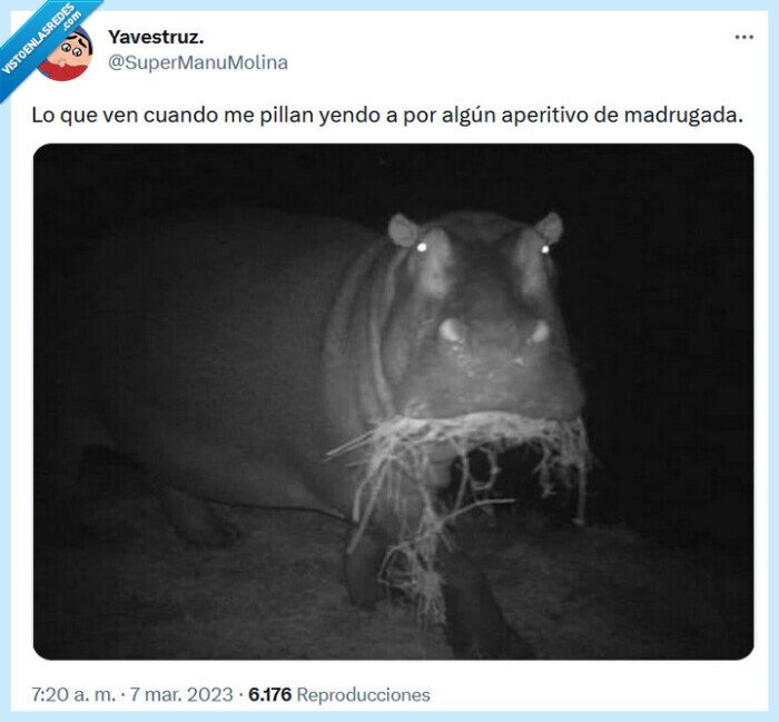 aperitivo,madrugada