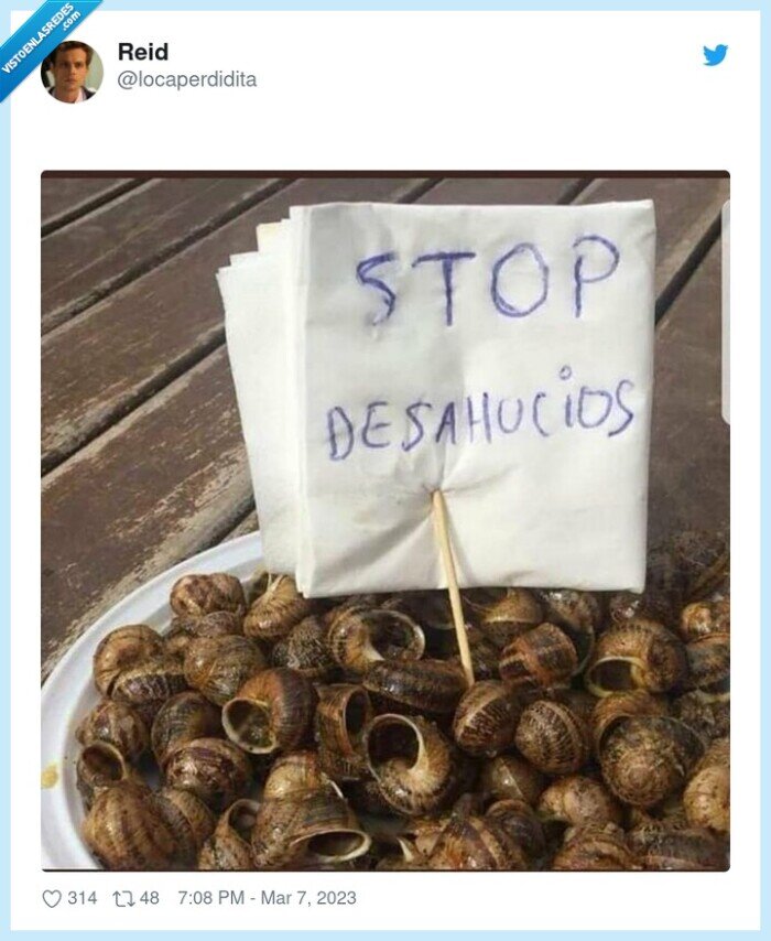 desahucio,cascara,caracol,casa