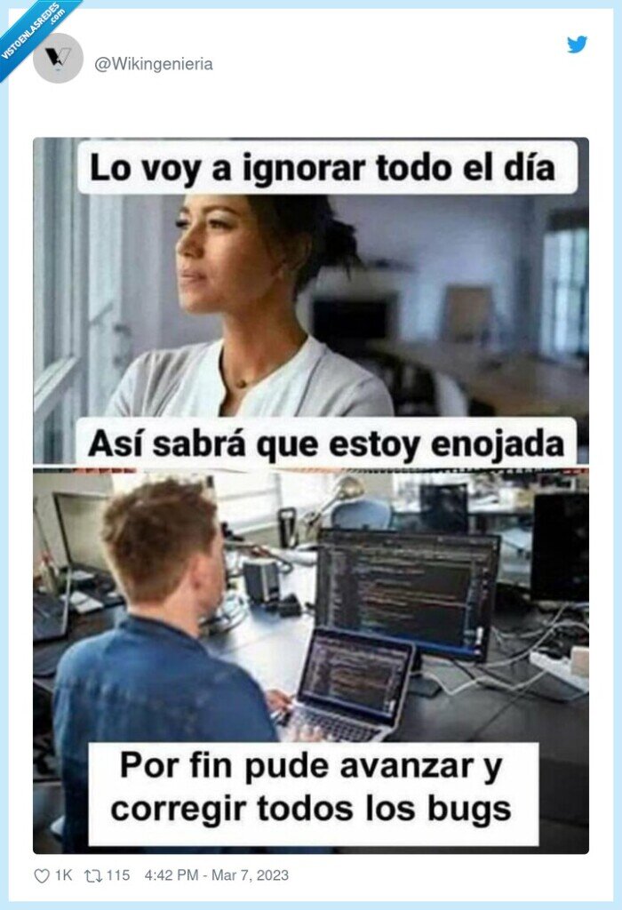 informáticos,bugs,avanzar,molestar,enfadada