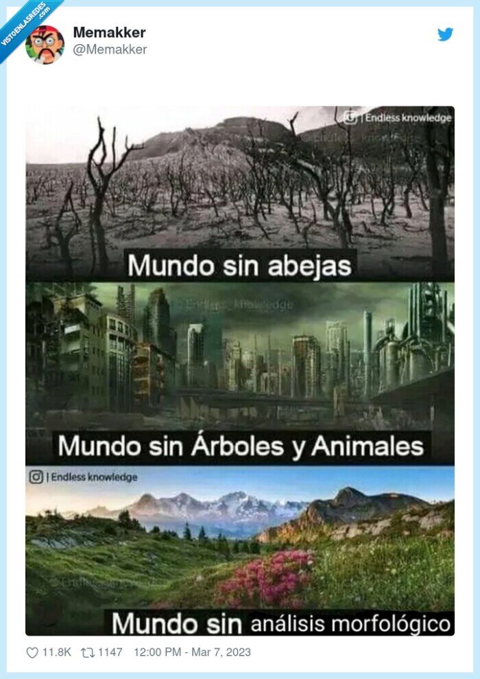 mundo,análisis morfológico