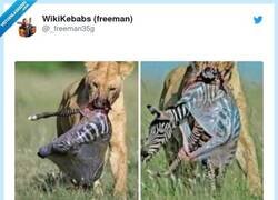 Enlace a Para llevar, por @_freeman35g