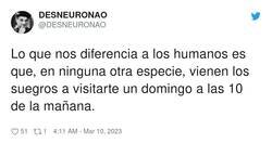 Enlace a Qué envidia les tengo, por @DESNEURONAO