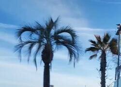 Enlace a El nacimiento de un guiri en plena playa de Barcelona, por @BernatCastro87