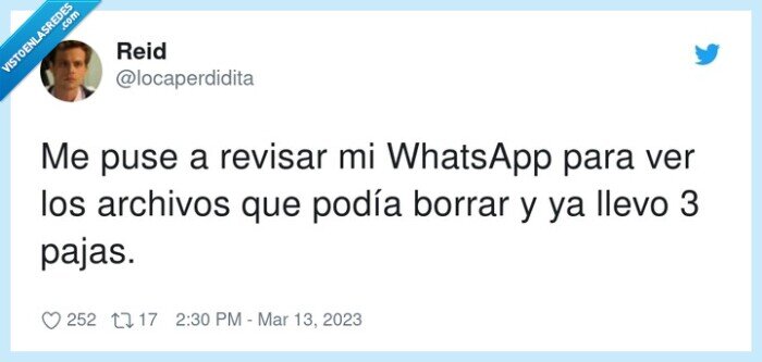 archivos,whatsapp,revisar,borrar
