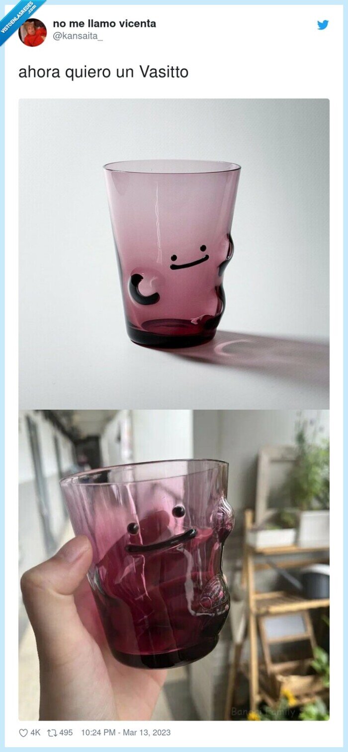 vasitto,pokemon,ditto,vaso