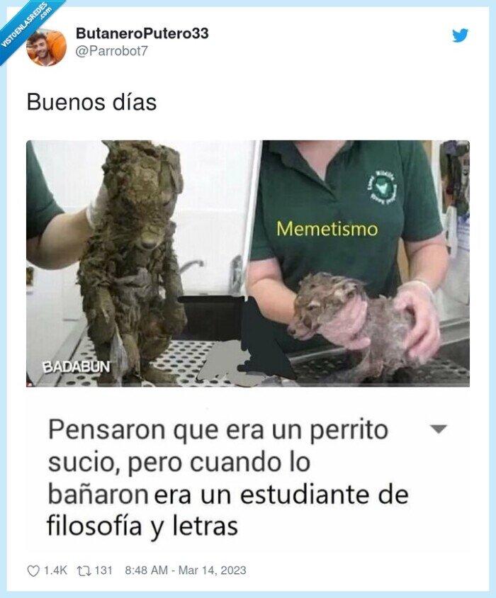 universidad,sucios,filosofia,perro abandonado