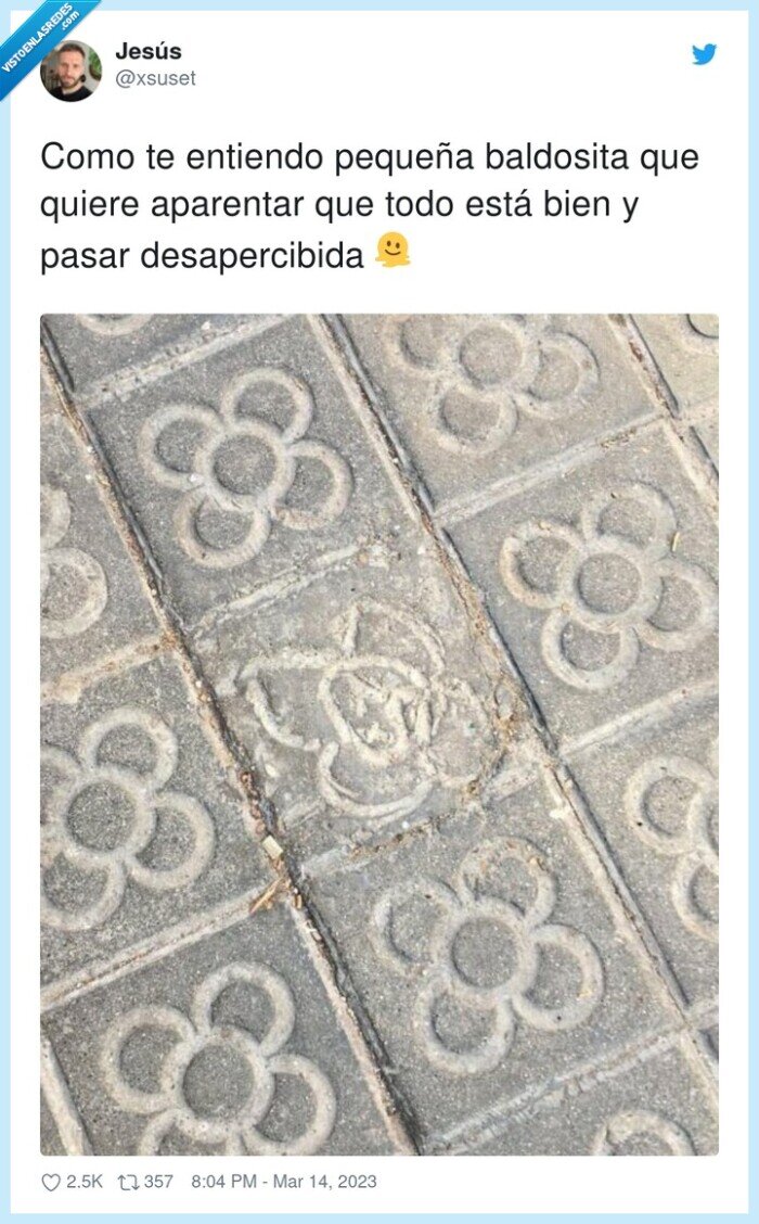 desapercibida,aparentar,baldosita,panot,barcelona,flor